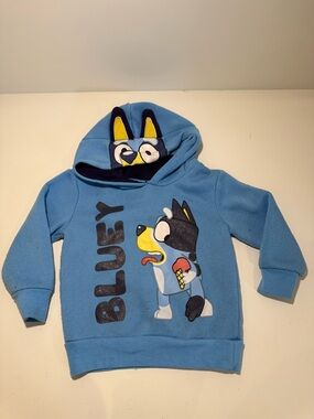 Bluey Hoodie 2T – Bluey Character Hoodie